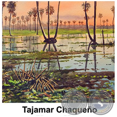 Tajamar Chaqueño - Obra de Emili Aparici